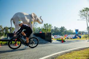 BIB: 
                            <button type="button" onclick="openModal(26182993)" class="btn btn-primary btn-sm float-right btn-popup" data-toggle="modal" data-target=".modal-high-quality">
                        <i class="fas fa-shopping-cart"></i> Add to Cart
                    </button>
                                            <button type="button" onclick="isThisMe(26182993, true)" class="btn btn-success btn-sm float-right btn-popup btn-isme hidden" data-toggle="tooltip" data-placement="bottom" title="นี่คือรูปของคุณใช่ไหม คลิกที่นี่เพื่อเอาเข้าอัลบั้ม">
                        <i class="fas fa-plus"></i> Add to album
                    </button>
                    <button type="button" onclick="isThisMe(26182993, false)" class="btn btn-warning btn-sm float-right btn-popup btn-isnotme hidden">
                        <i class="fas fa-ban"></i> Remove from album
                    </button>